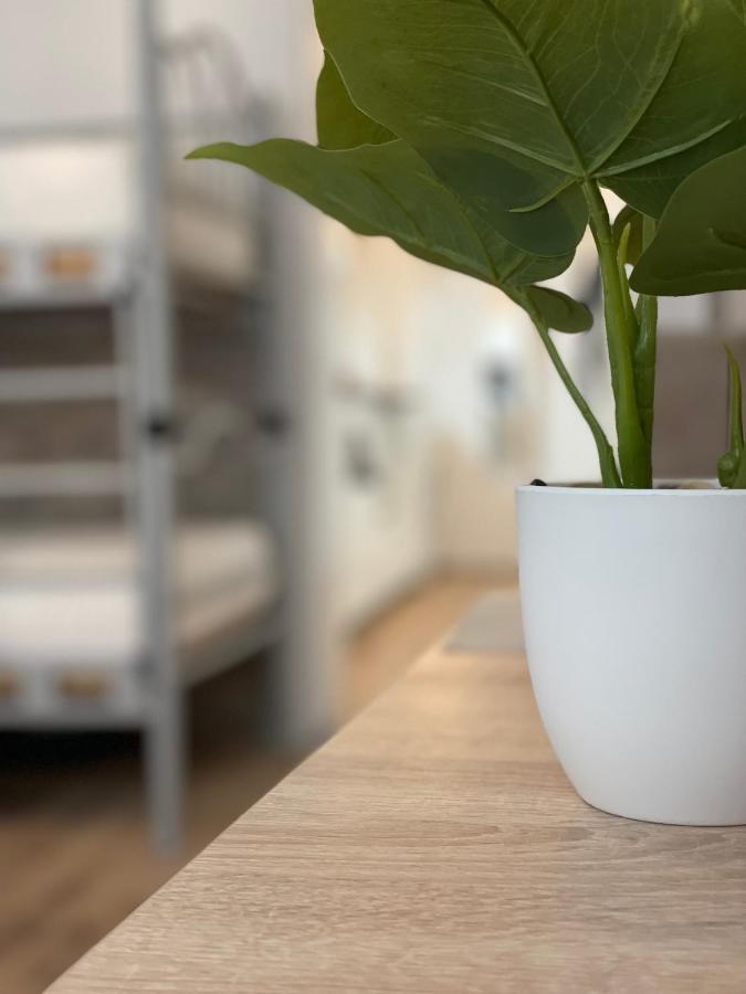 וינה Flatprovider Hp Apartment מראה חיצוני תמונה